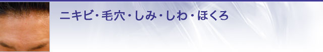 ニキビ・毛穴・しみ・しわ・ほくろ